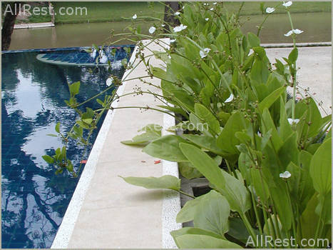 Lanna Mantra Hotel 38